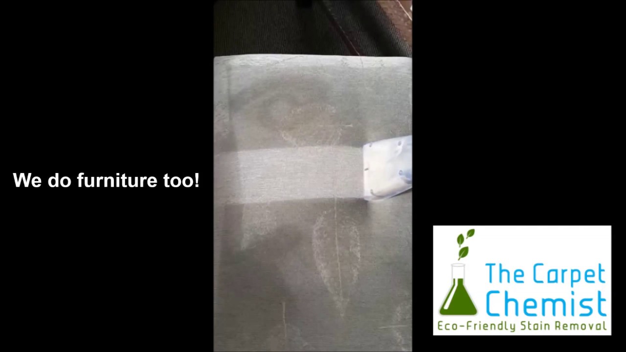 Carpet Cleaning Dunedin YouTube