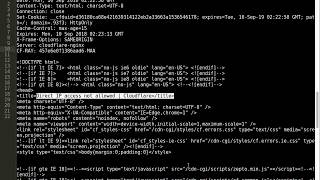 Fingerprint Web Server OTG INFO 002