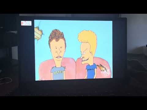 Beavis & Butt-Head Do Toadies