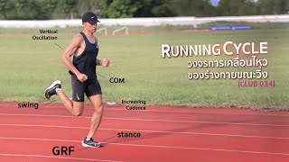 Running Cycle หลักการวิ่งเบื้องต้น ตอน วงจรการวิ่ง และข้อสังเกตเรื่องท่าวิ่งพื้นฐาน [CLUB 034]