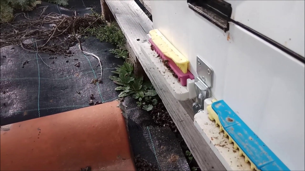 καθάρισμα πλαστικού πάτου κυψέλης