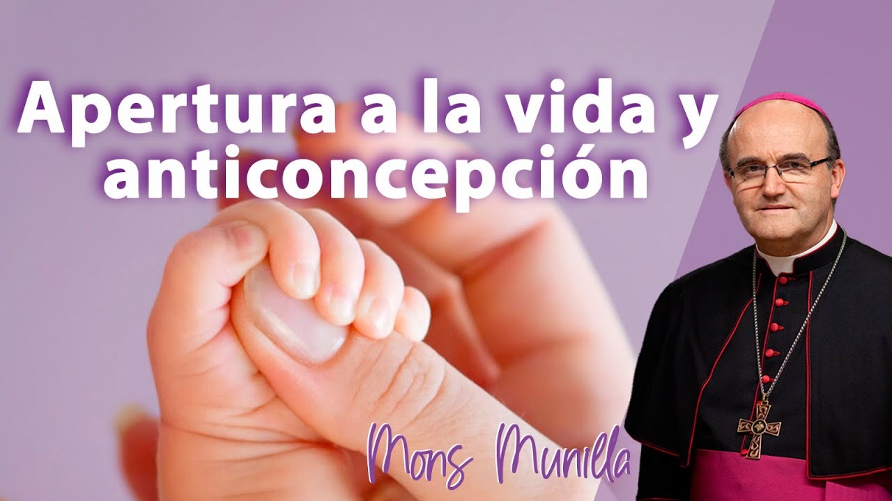 Apertura a la vida y anticoncepción