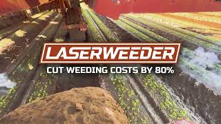 Cut Weeding Costs by 80%