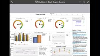 Budgeting & Forecasting Using TM1 screenshot 2