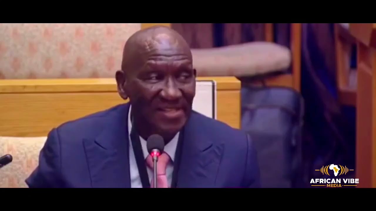 Bheki Cele ON FIRE | Ad Hoc Committee Probes Political Killings Task Team