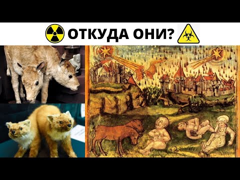 Откуда ядерные мутанты 17-18 века ?