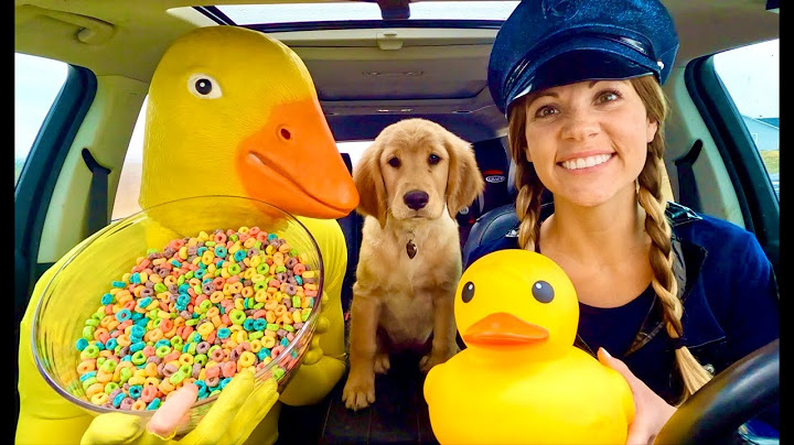 Rubber Ducky Surprises Puppy & Police With Car Ride Chase!