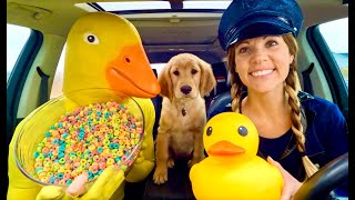 Rubber Ducky Surprises Puppy & Police With Car Ride Chase! by Life of Teya 8,192,557 views 1 year ago 11 minutes, 46 seconds