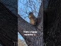 Happy squirrel #nature #animals #park #weekend #walking #nature #life #technology #tech #happy #fun