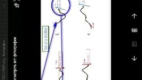 Simple Rise and Fall Last Digit Trading