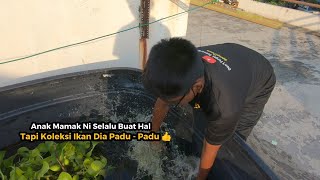 Koleksi Padu Saiz Babon 💯 Macam - Macam Hal Sepanjang Mencari Spesis Ikan KERAPU LOMBONG / JAGUAR screenshot 2