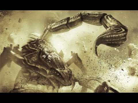 Wideo: Żądło Skorpiona
