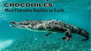 Crocodile Facts: Most Fearsome Reptiles on Earth by Nature's Creatures 17,825 views 9 months ago 3 minutes, 2 seconds
