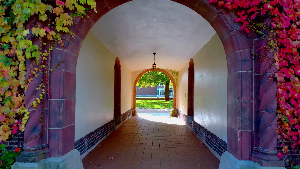 Bonaventure's Fall Beauty