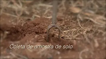 Quais itens devem conter na identificação da amostra a ser enviada para o laboratório?