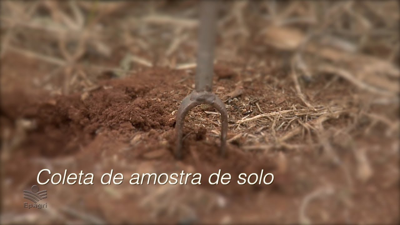 Coleta de amostra de solo para análise - Como fazer
