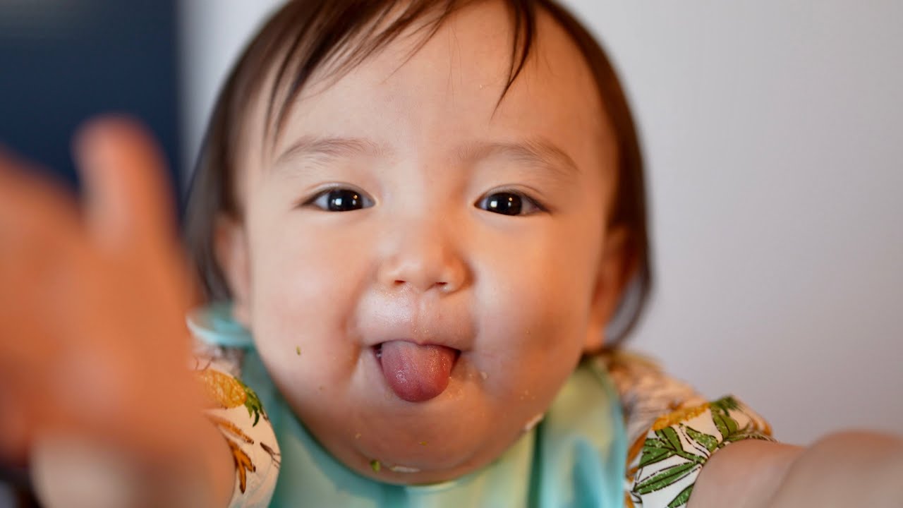 【離乳食】神回！最初から最後まで見どころ満載！うどんちゅる→どうぞポーズ（笑）→ぬいぐるみとコミュニケーション→くしゃみのモノマネ！