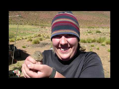 Meet a Mammalogist