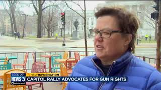 Capitol rally advocates for gun rights