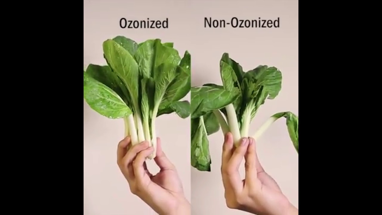 How to clean vegetables and fruits naturally thru ozone. YouTube