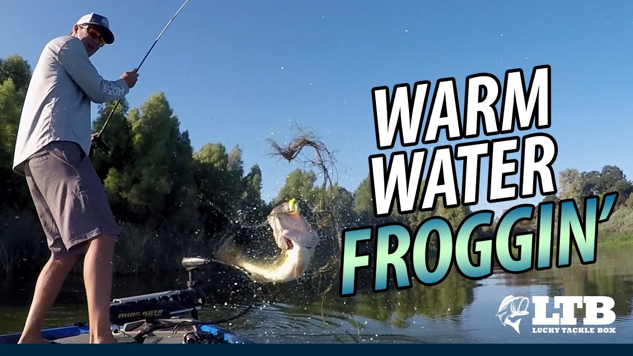 The ULTIMATE Way To Fish Frogs Lucky Tackle Box YouTube the-ultimate-way-to-fish-frogs-lucky-tackle-box-youtube