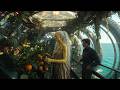 Trapped Pleasure Animal Rescued by Secret Law | Sci-Fi Dystopian Thriller