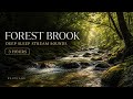 Forest Brook for Deep Sleep | 3 Hours of Nature Sleep Music