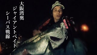 シーバス 大阪湾奥ジャイアントベイト戦線 Youtube