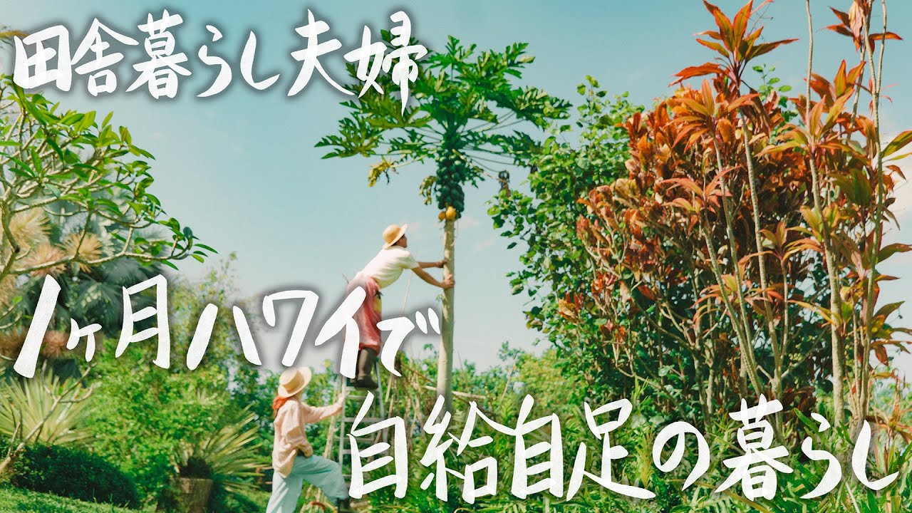 В течение месяца мы жили самостоятельно на Большом острове Гавайи.