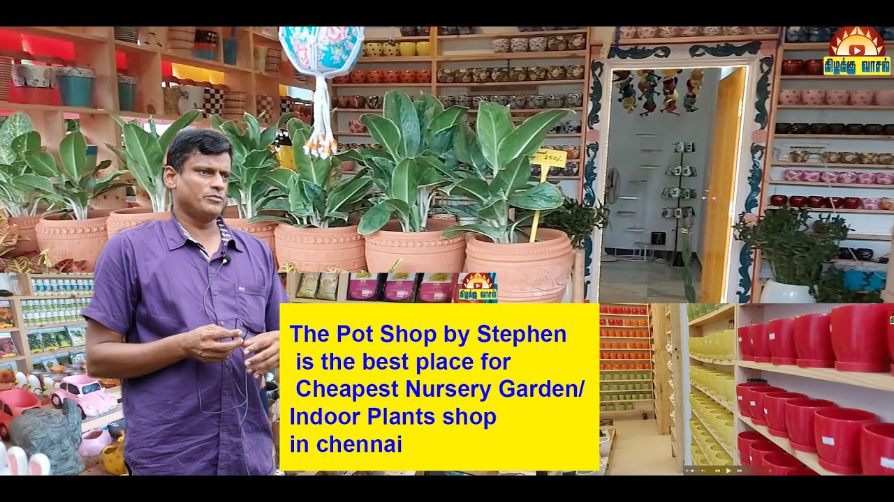 THE POT SHOP BY STEPHEN ECRCheapest Nursery Garden/Indoor Plants shop