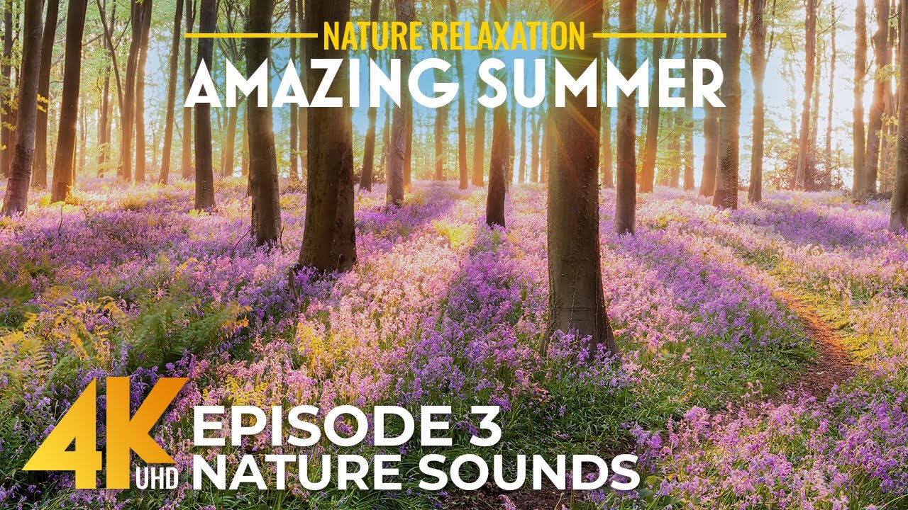 4K Amazing Summer – Episode 3 | Scenic Views & Real Nature Sounds from Beautiful Locations