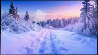 Winter Solstice 2025