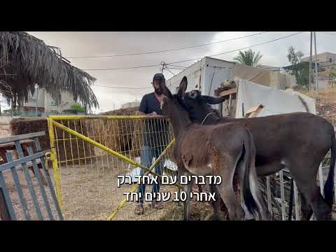 יש לכם תשובות בשבילו?