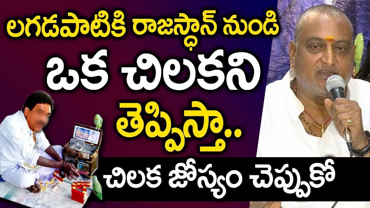 లగడపాటికి ఒక చిలకని రాజస్థాన్ నుండి తెప్పిస్తున్నా | PrudhviRaj Funny Commnets Lagadapti And KA Paul