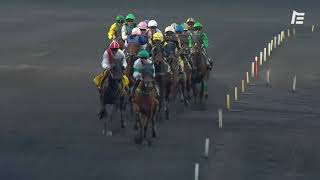 Vidéo de la course PMU PRIX DE L'ILE DE RE