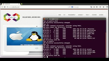 Connect to FTP from linux terminal