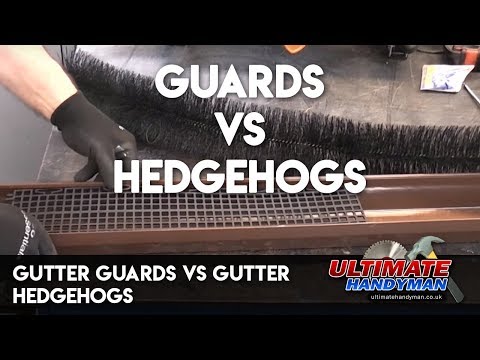 Gutter Guards Vs Gutter Hedgehogs