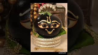 Shaligram Shila