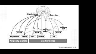 Grand Rounds: The Management of Obesity