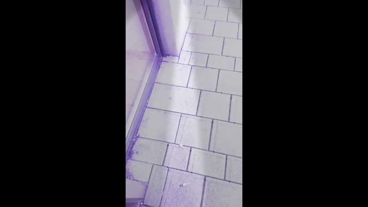 Forum Hanau ❤ Sänger 💭