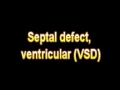 What Is The Definition Of Septal defect, ventricular VSD Medical School Terminology Dictionary