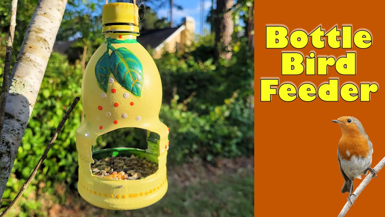 Lemon Juice Bottle Bird Feeder YouTube