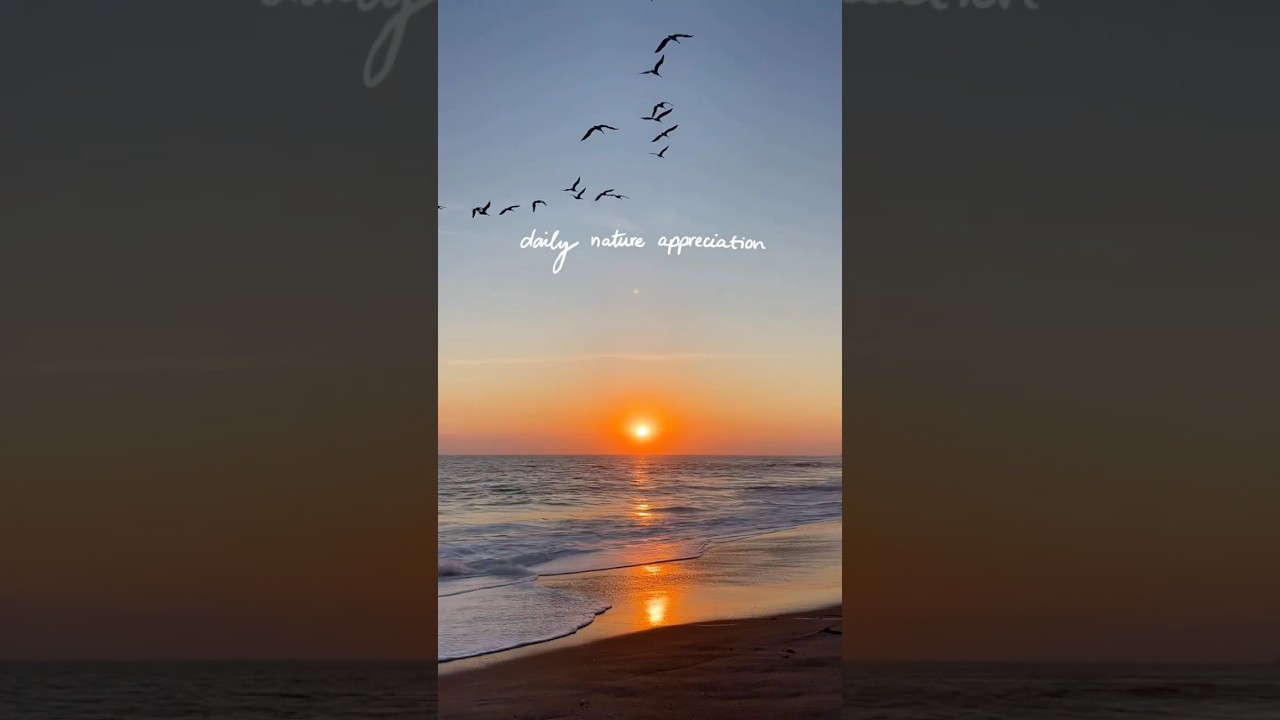 Peaceful Ocean Sunset | daily nature appreciation