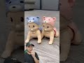 PILIH BABY BIRU ATAU BABY PINK‼️#remix #dubbing #trending #shorts