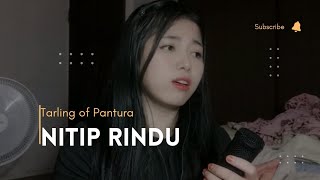 Nitip Rindu - Suzy Arzetty // Cover Shu Darkem // Tarling // Pantura // Populer 