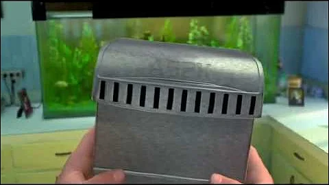 Finding Nemo - Now what?!