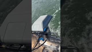 This perfect pontoon outboard is silent