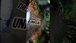 Into the Heart of an Untouched Forest - Malabar Wildlife Sanctuary #shorts