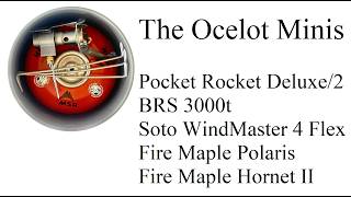 Ocelot Minis - the Unicorns of Windscreens @FlatCatGear