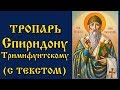 Тропарь Святителю Спиридону Тримифунтскому (Аудио Молитва с Текстом и Иконами)